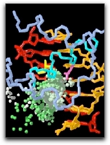 New Protein For Dental Implant Patients