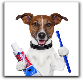 7 Steps For A Healthy Smile